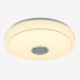 Remote APP Control Bluetooth Music Speaker Lamp 36W RGB LED Flush Mount Ceiling Light Decorative Lamp