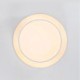 Living Room Bedroom LED Flush Mount Circular Ceiling Light