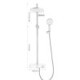 Handheld Shower Faucet System With Shower Shelf Plate Brass Shower Faucet Set