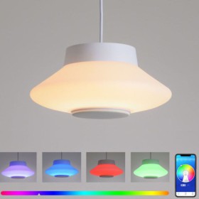 RGB LED Pendant Light Remote APP Control Bluetooth Music Speaker Light Bedroom Bar