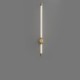 Modern Acrylic Strip Wall Light with LED Brass Sconce