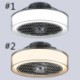 For Bedroom Restaurant Postmodern Led Ceiling Fan Lamp Remote Control Light