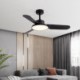 Modern Minimalist Ceiling Fan Lamp Inverter LED Fan Lamp For Living Room