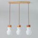 Hanging Glass Pendant Light with Creative Personality