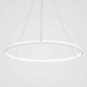 60cm/80cm Modern LED Pendant Light Circle Lamp
