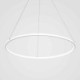 60cm/80cm Modern LED Pendant Light Circle Lamp
