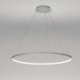 80cm Modern LED Pendant Light Black Circle Lamp