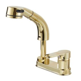 Luxurious Pull-out Tap with Liftable Golden Faucet