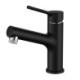 Optional Chrome / Black Pull-out Basin Faucet (Short)