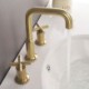 Swivel Split Tap Dual Handles Basin Faucet in Brushed Gold