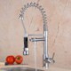 Multifunctional Commercial Kitchen Sink Faucet with Sprayer Chrome Spring Tap