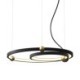 2 Rings LED Circle Pendant Light Fixture