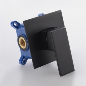 Black Square Shower Valve with Single Function