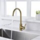 Brushed Gold Classic Brass Kitchen Sink Faucet