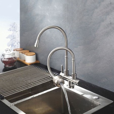 Kitchen Tap with Omni-directional Double Spouts in Stainless Steel