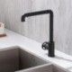 Black Kitchen Faucet with Single Handle in Industrial Style