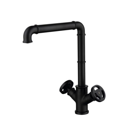 Dual Round Handles Sink Faucet in Industrial Style Black