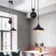 Retractable Industrial Farmhouse Pulley Pendant Light Adjustable Height Stoving Varnish Finish