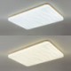 Rectangular Corrugated Ceiling Lamp with LED Acrylic